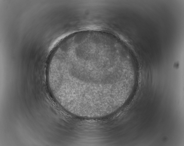 X0000114721214200912021146