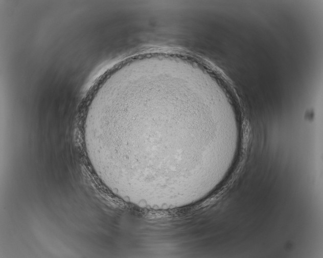 X0000114721215200912021146