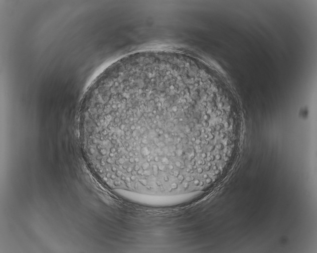 X0000114721216200912021146