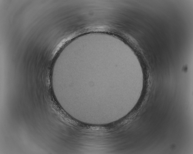 X0000114721218200912021146