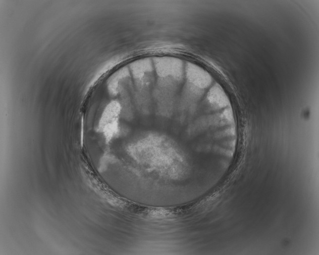 X0000114721219200912021146