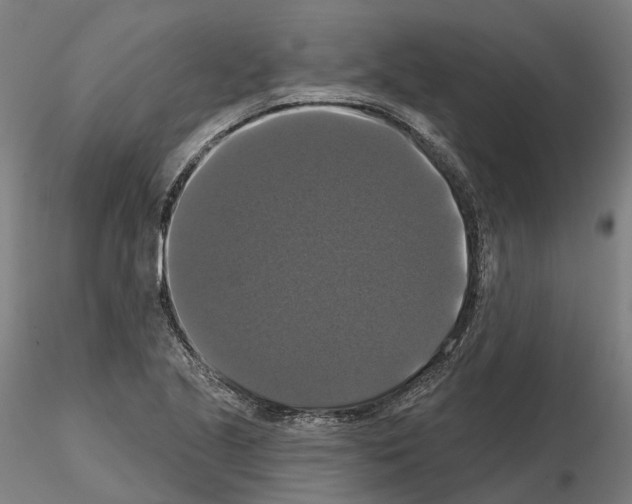 X0000114721221200912021146