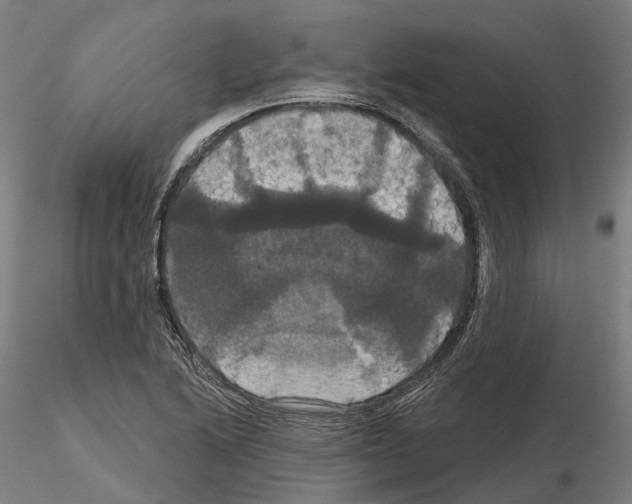 X0000114721222200912021146