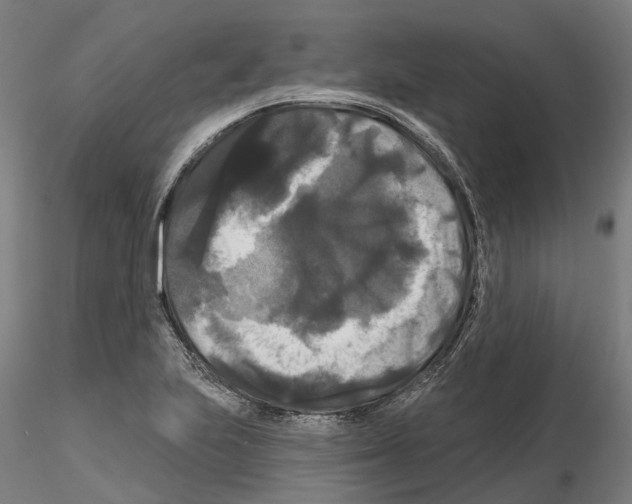 X0000114721223200912021146