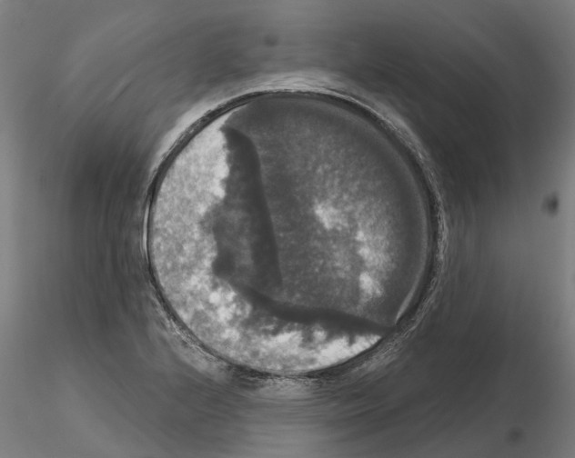 X0000114721224200912021146