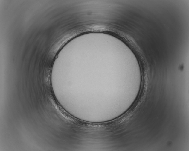 X0000114721225200912021146