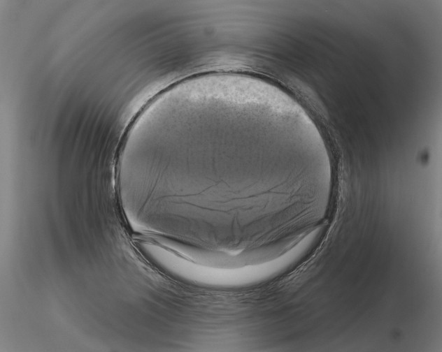 X0000114721226200912021146