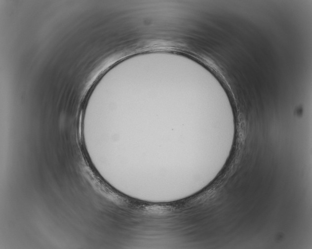 X0000114721227200912021146