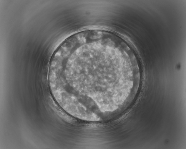 X0000114721228200912021147