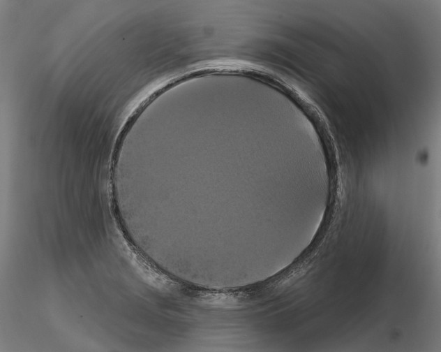 X0000114721229200912021147