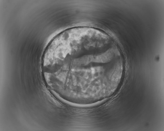 X0000114721230200912021147