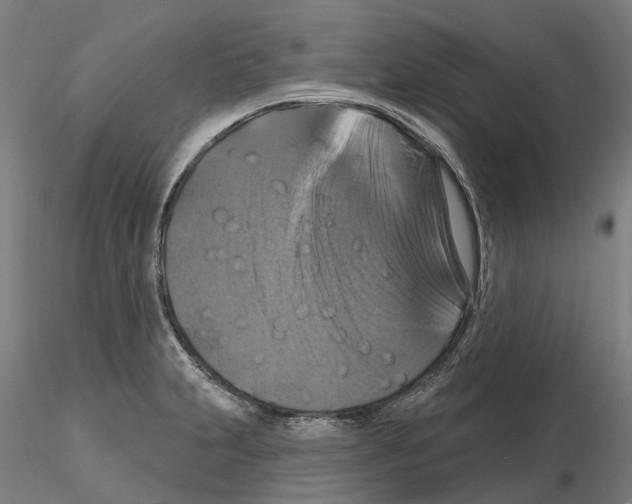 X0000114721231200912021147