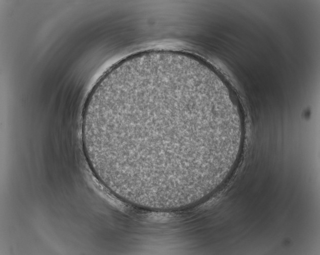 X0000114721232200912021147