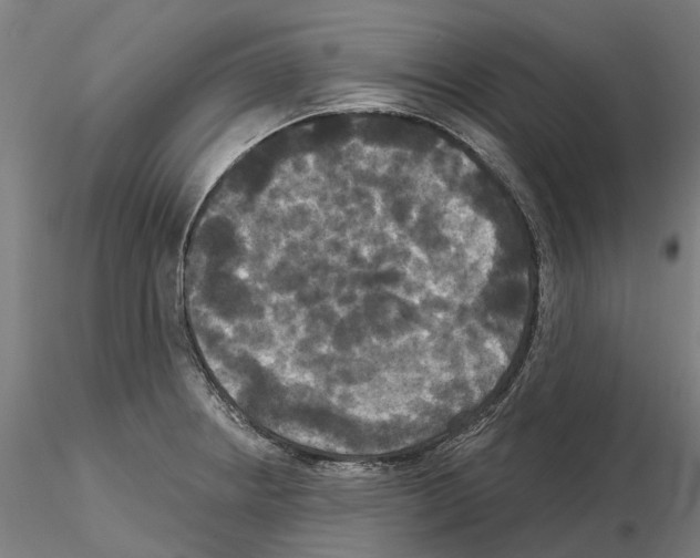 X0000114721234200912021147