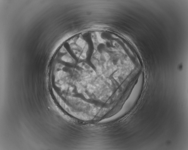 X0000114721235200912021147