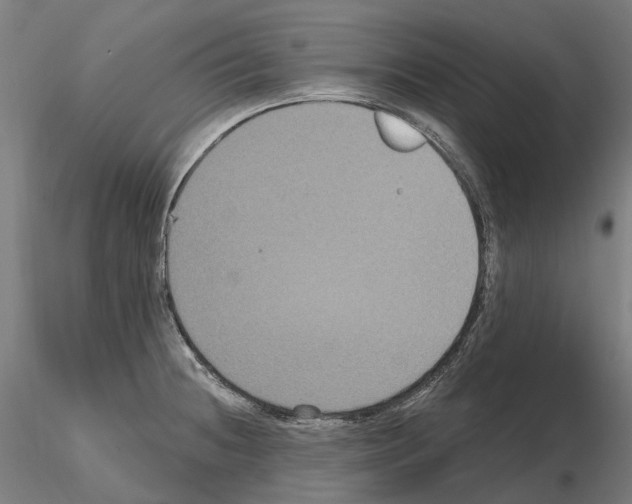 X0000114721236200912021147