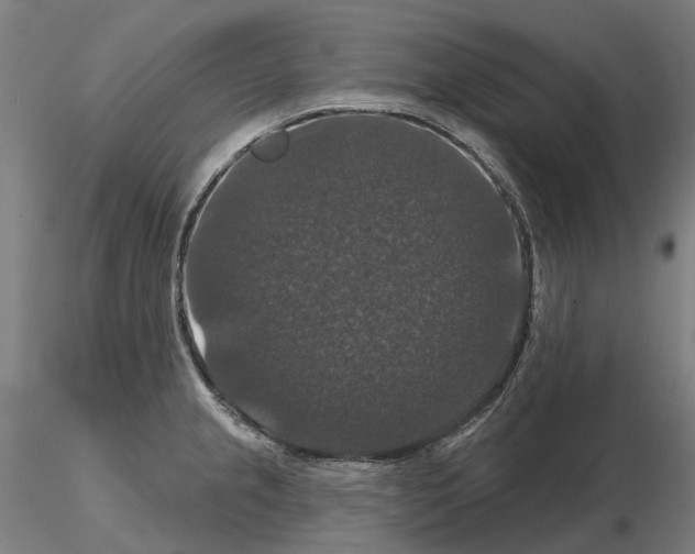 X0000114721237200912021147