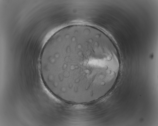 X0000114721239200912021147