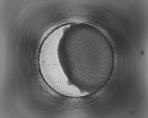 X0000114721240200912021147