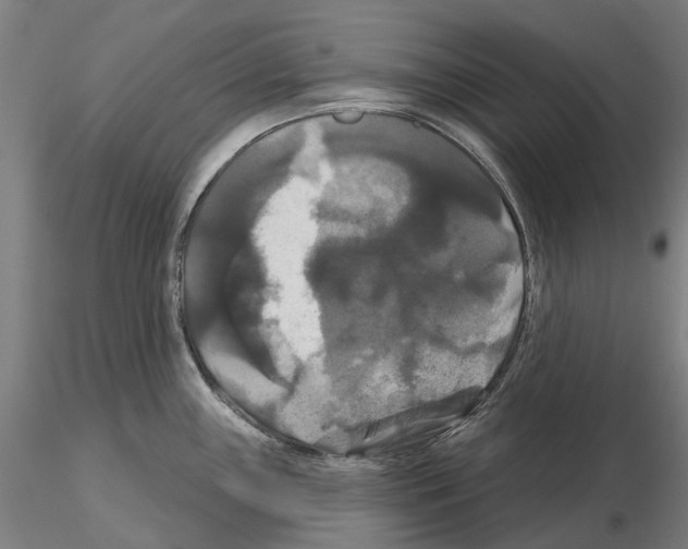 X0000114721243200912021147