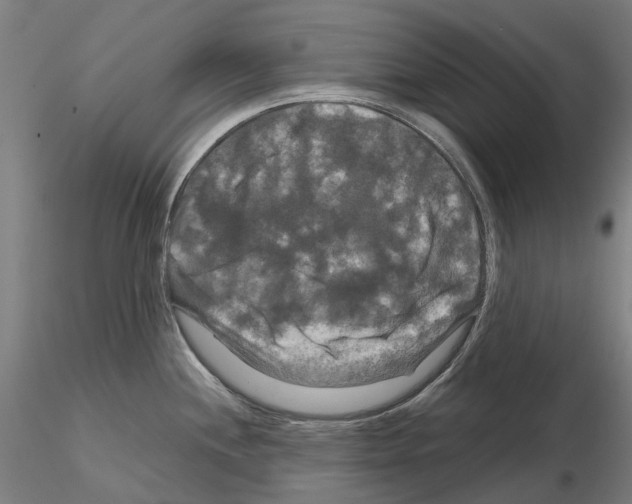 X0000114721244200912021147