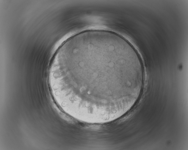 X0000114721245200912021147