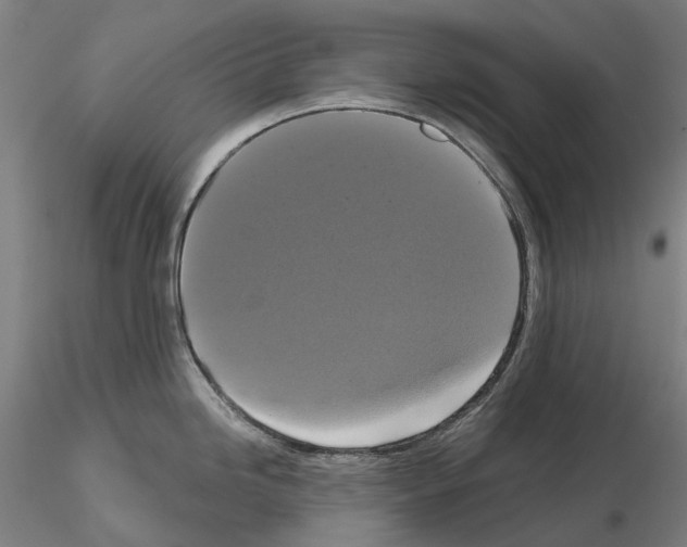 X0000114721246200912021147