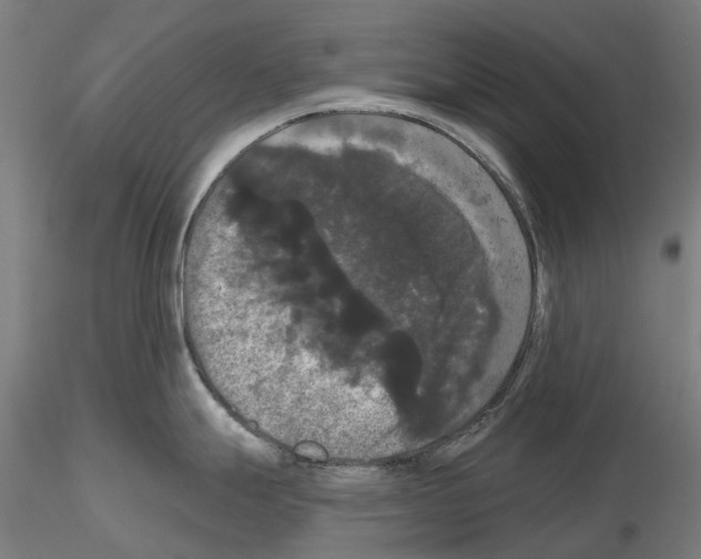 X0000114721247200912021147