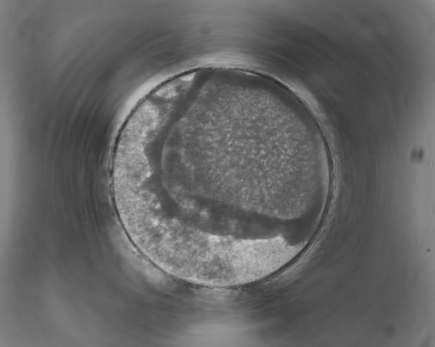 X0000114721248200912021147