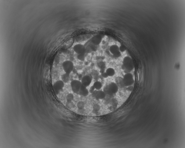 X0000114721251200912021146