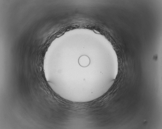 X0000114721253200912021146