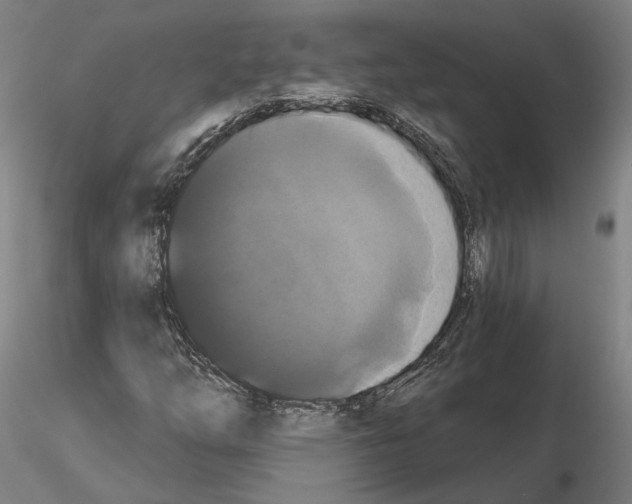 X0000114721254200912021146