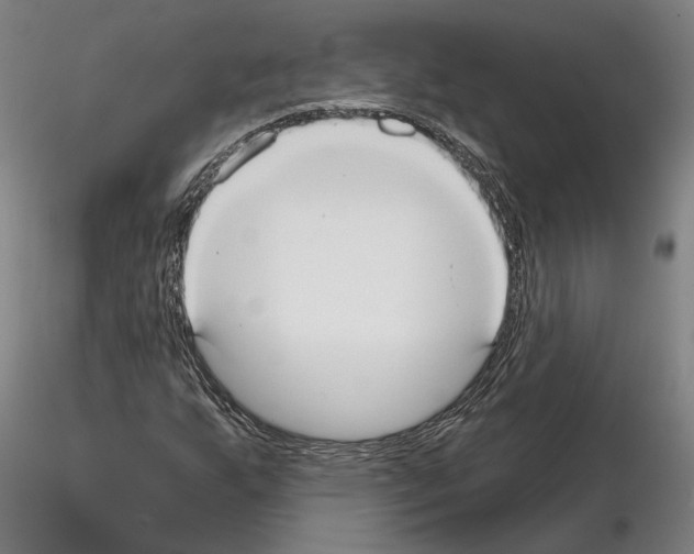 X0000114721255200912021146