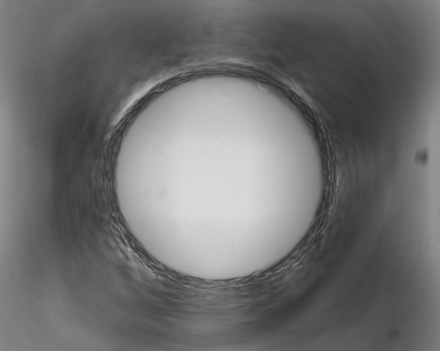 X0000114721256200912021146