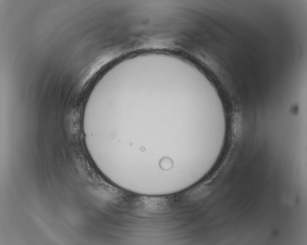 X0000114721258200912021146