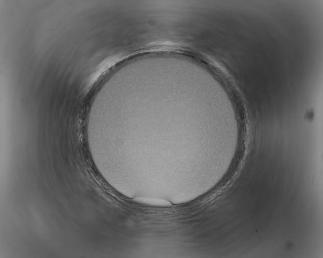 X0000114721259200912021146