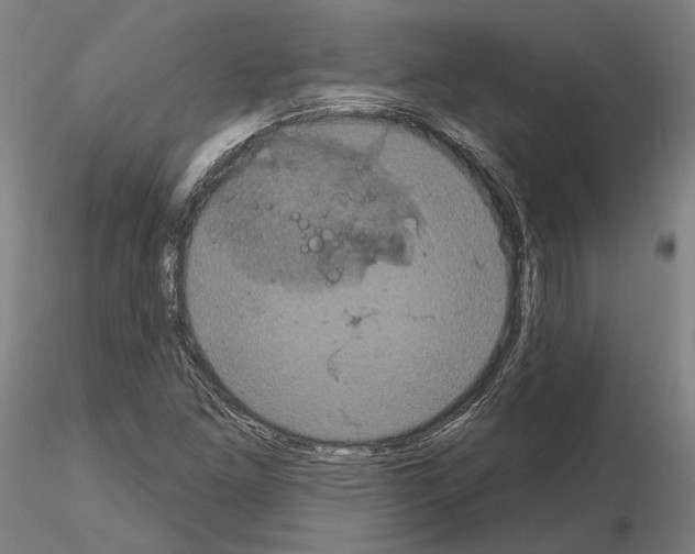 X0000114721261200912021146