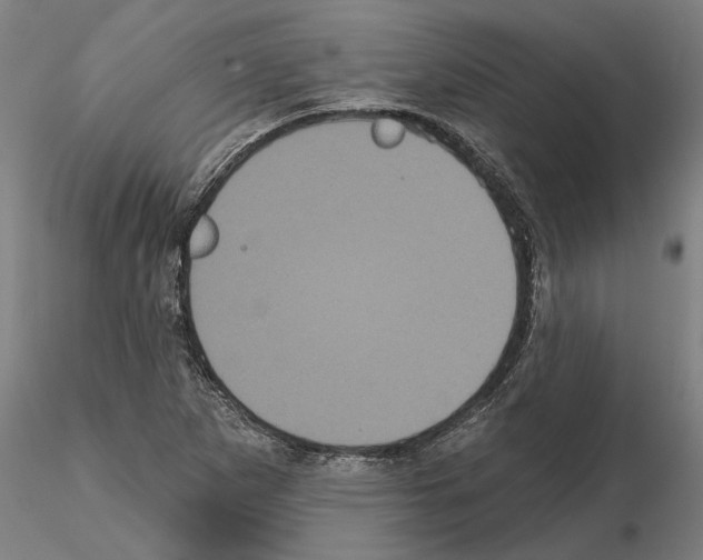 X0000114721265200912021146