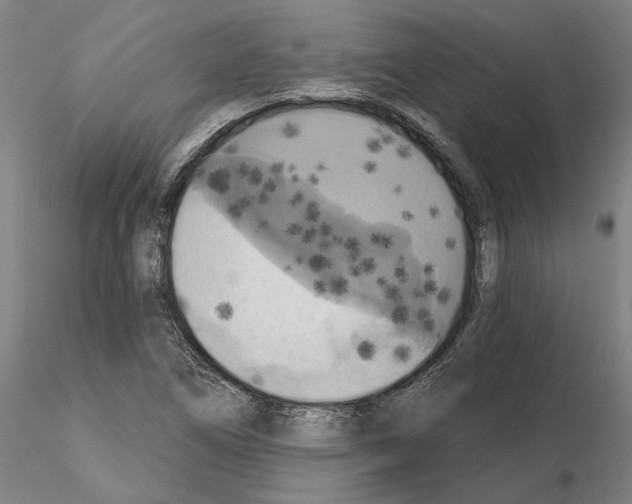 X0000114721266200912021146