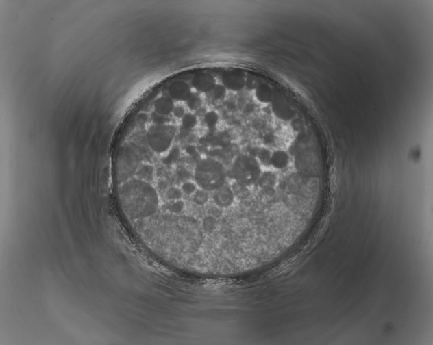 X0000114721267200912021146