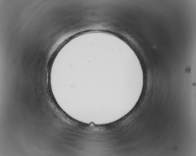 X0000114721270200912021146