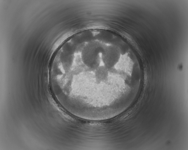 X0000114721274200912021146