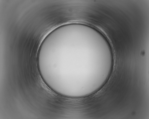 X0000114721276200912021146