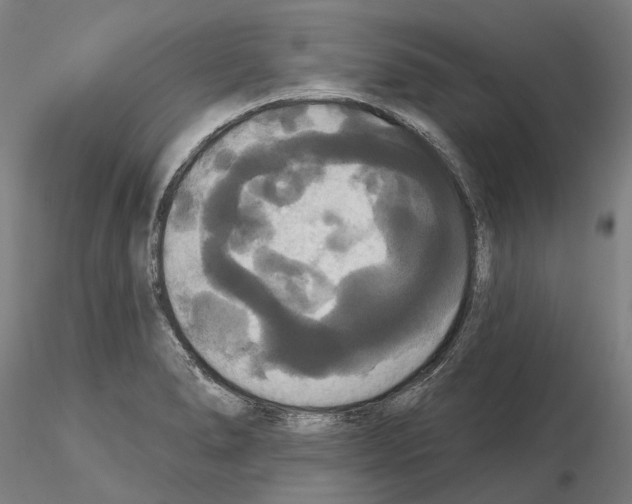 X0000114721278200912021146