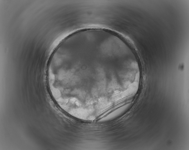 X0000114721279200912021146