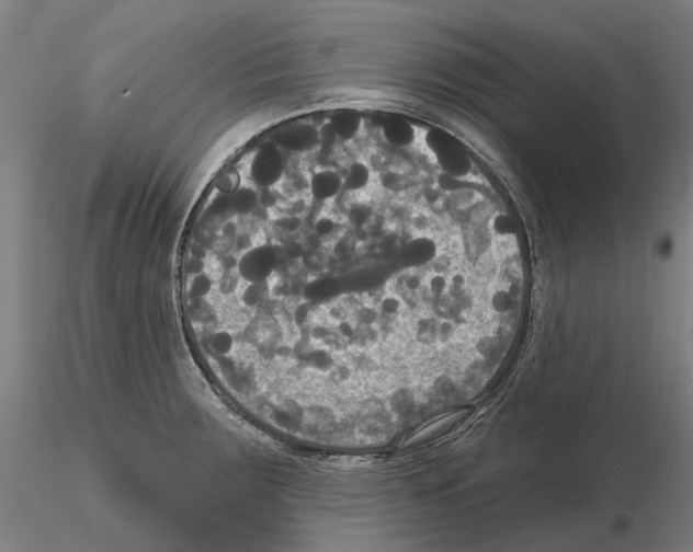 X0000114721283200912021145