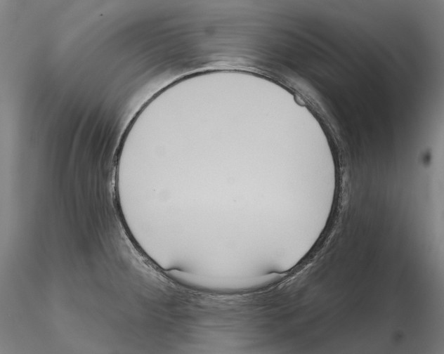 X0000114721284200912021145