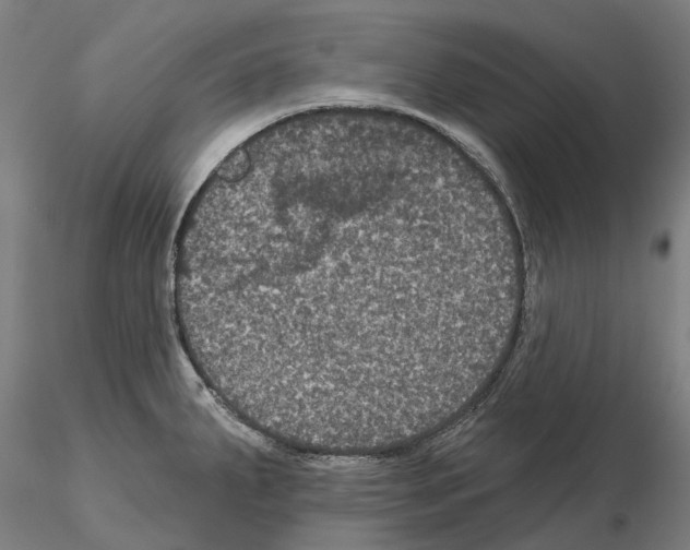 X0000114721287200912021145