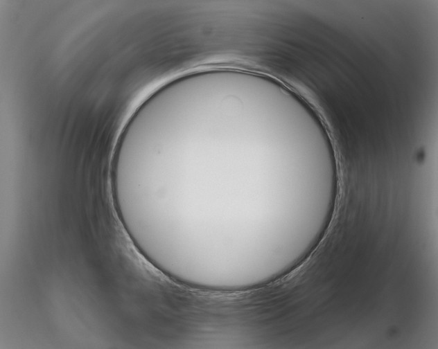 X0000114721288200912021145