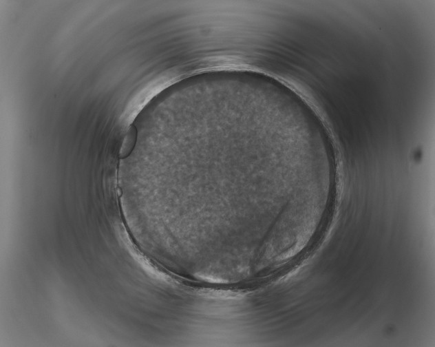 X0000114721289200912021145